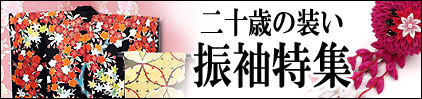 2012年 振袖特集 | 着物、訪問着、黒留袖 通販のアイディーネット